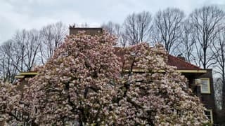 Nog heel even genieten 