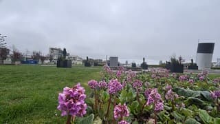 Bewolkt weerbeeld met kleur