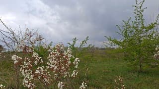 Overwegend grijze dag in z.w.Brabant 