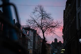 Ochtend gloed over Utrecht ingezoomd