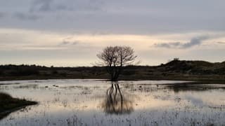 Nu nog rustig in het duingebied op Texel 