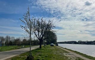 Het is van alles een beetje vandaag; wind, zon en allerlei wolken soorten 