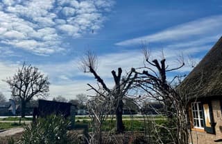 Hoge en lagere bewolking, en veel zonneschijn in de middag