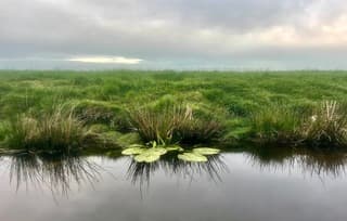 Rond 8 uur vanmorgen is het windstil en bewolkt.