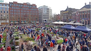 Zon op de bloemetjesmarkt.