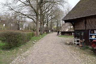 Orvelte