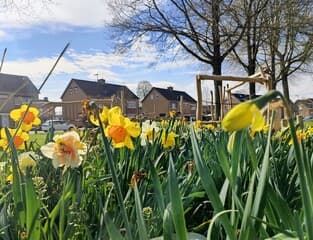 Vanmiddag opklaringen en zonnig.