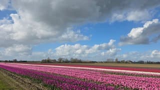 flinke bewolking vandaag