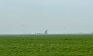 Eind v d middag betrok het en begin het te miezeren met flink wat wind