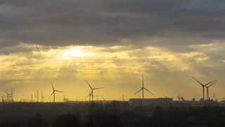 Zonneharpen bij zonsopkomst