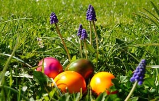 Fijne paasdagen allemaal!