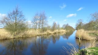 Uit de wind is het heerlijk!