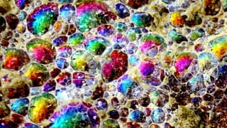 Lijken wel gekleurde paaseitjes?