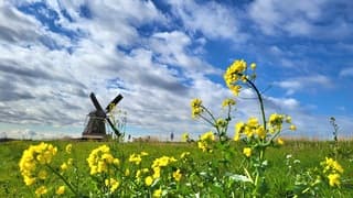 Mooie wolkenlucht en Zon...  Weinig wind 