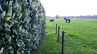 Zon blauwe lucht wolken 