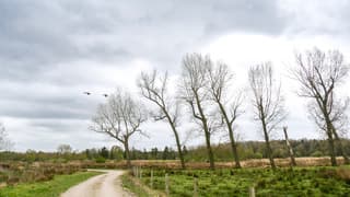 In de middag kreeg de bewolking de overhand