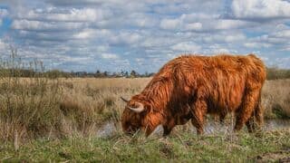 Bewolking in de  Kropswolderbuitenpolder!