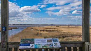 Leinwijk, Kropswolde