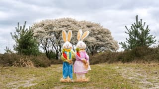 Het wordt een bewolkte Paasdag, net zoals vanmiddag