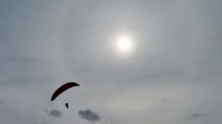 Kring om de zon (HALO)