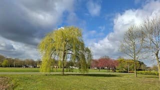 Wolkenlucht met zonneschijn 