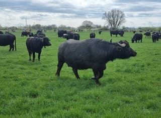 Voor het eerst naar buiten