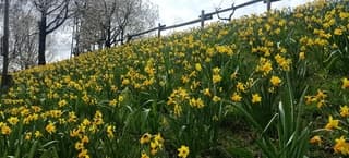 Een dagje GaiaZOO  in Kerkrade op deze eerste Paasdag hier de foto deel 2