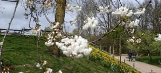 Een dagje GaiaZOO  in Kerkrade op deze eerste Paasdag hier de foto deel 2