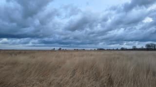 De wind waait het gras omver