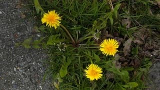 Hier wordt je blij van