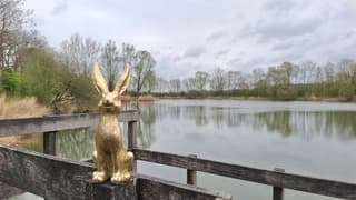 Grijs, bewolkt met veel wind