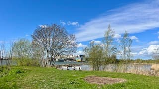 Op de Westpunt van De Zaag staan bankjes aan het water 