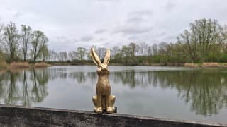 Grijs, met veel wind, later opklaringen 