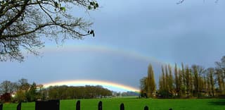 Zon en regen geeft regenboog