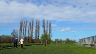 WANDELWEER