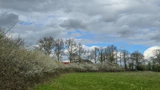 Wolkenlucht