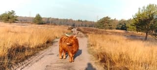 Frisse start van de dag 