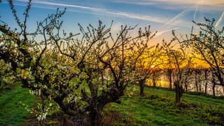  Fraaie zonsopkomst in Buurmalsen 