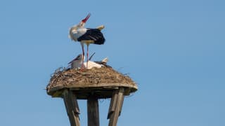 Genieten van de Lentezon