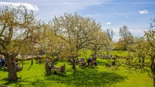 De Betuwe was populair vandaag door de bloesemkijkers