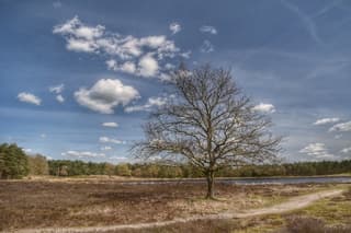 Mooie tweede paasdag 