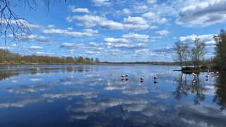prachtige lucht