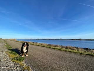 ‘Strak’ blauwe lucht met strepen
