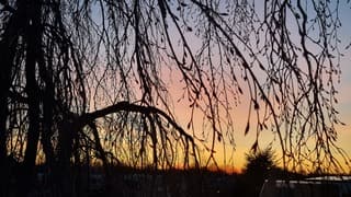 Zonsondergangskleuren