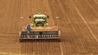 aardappels de klei in