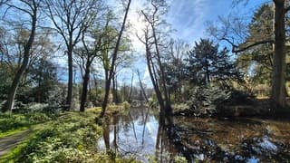 Een heerlijke Lentedag 