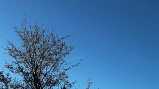 Strak blauw, en een vliegende 