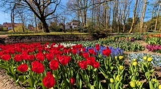 Heerlijk genieten door klein Keukenhof, de poldertuin