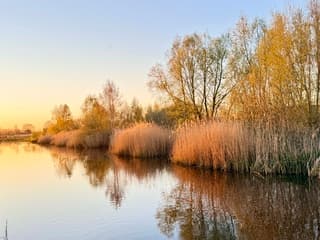 Zonnige zonsopkomst Veghel