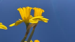 Strak blauwe lucht in Eindhoven 